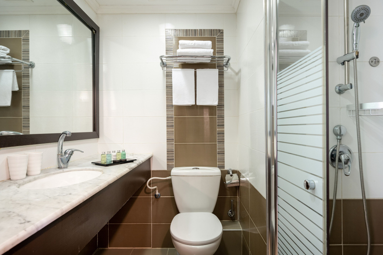 Bathroom 5, Leonardo Inn Dead Sea