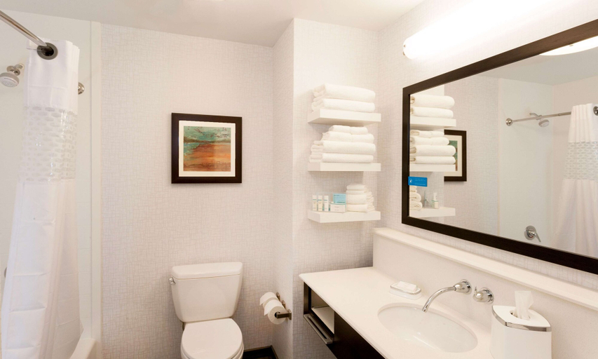 Bathroom 4, Hampton Inn & Suites Duluth North/Mall Area, Saint Louis