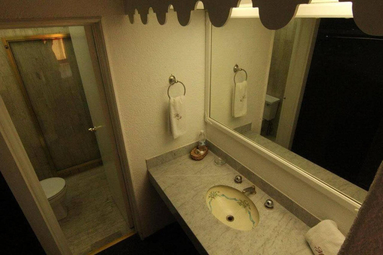 Bathroom 4, Mansión Havre, Mexico City