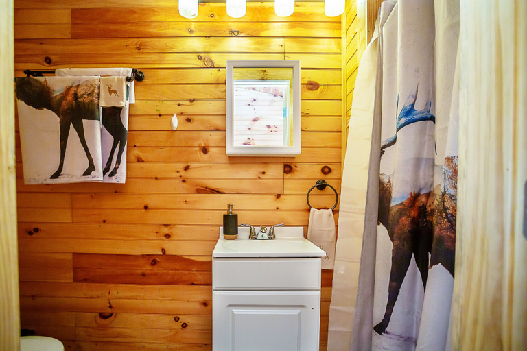 Bathroom, Bigfoot Lodge Room Three, Polk