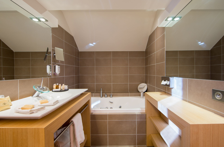 Bathroom 5, Château des Avenieres, Haute-Savoie