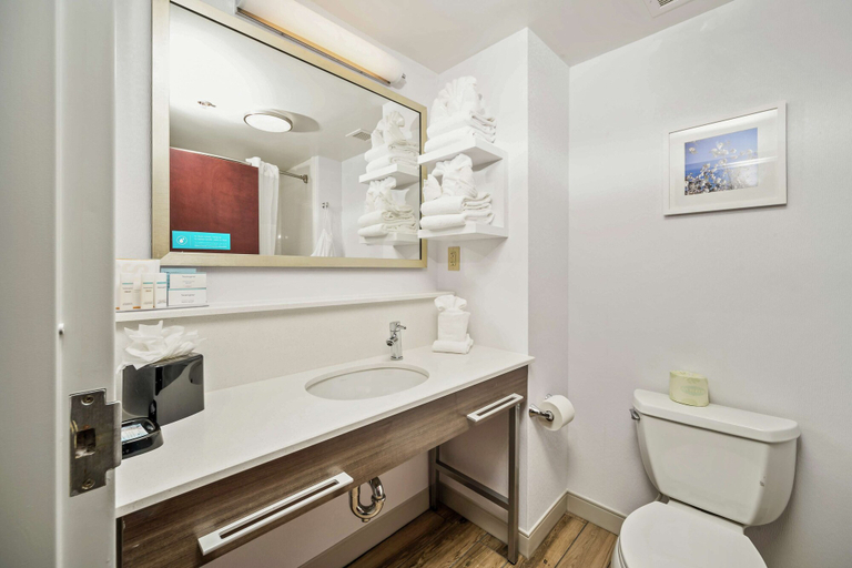 Bathroom 4, Hampton Inn by Hilton Wilson, Wilson