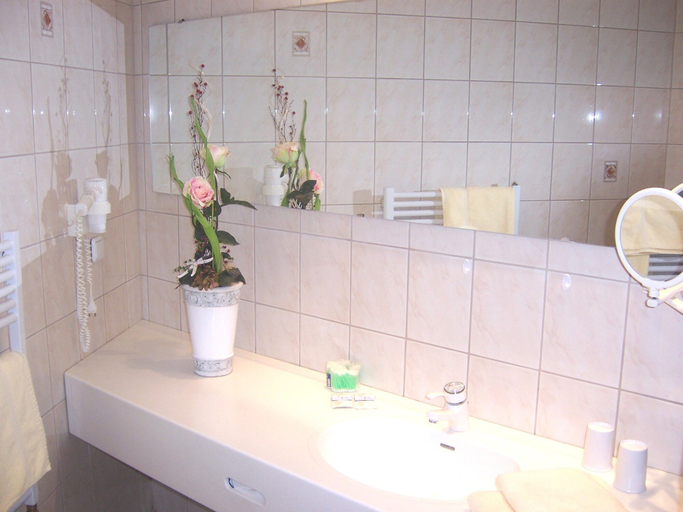 Bathroom 5, Hotel Alexandra, Vogtlandkreis