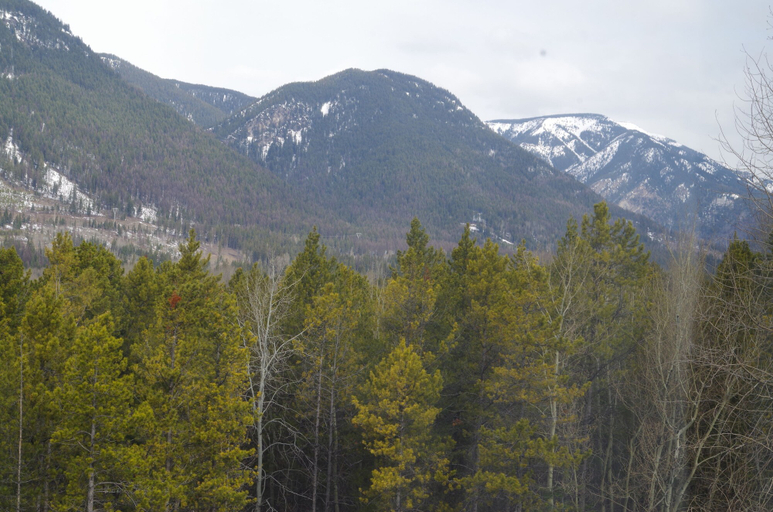 Others 5, Causeway Bay Hotel Sparwood, East Kootenay