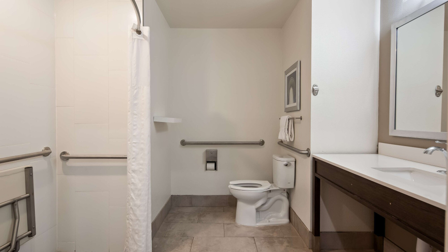 Bathroom, Best Western Plus Roland Inn & Suites, Bexar