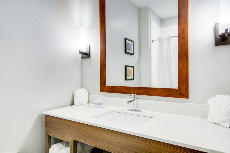 Bathroom 5, Comfort Suites DeSoto Dallas South, Dallas