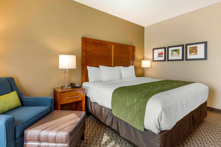 Bedroom 3, Comfort Inn & Suites Florence Center Area, Florence