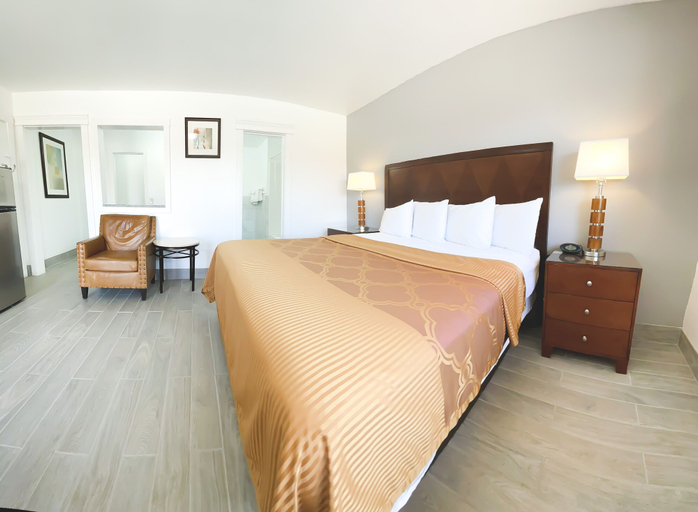 Bedroom 2, Economy Inn, Terry