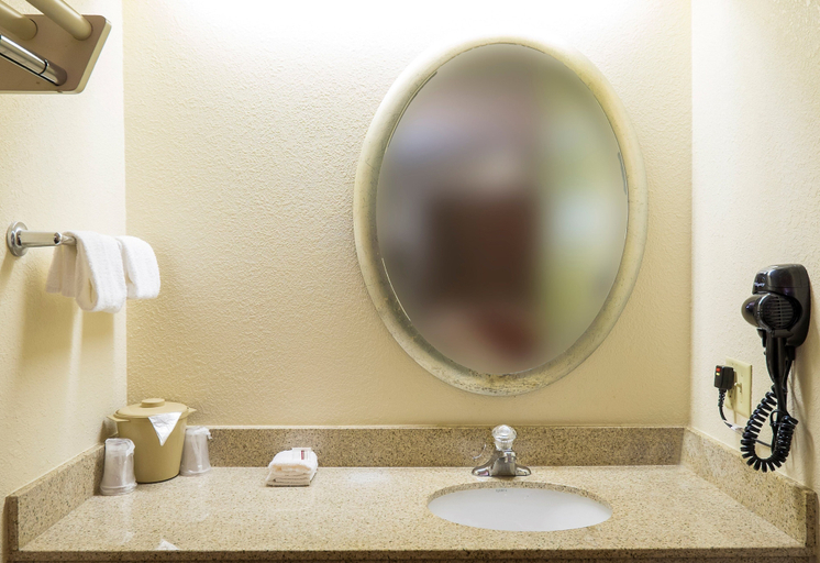 Bathroom 4, Red Roof Inn Edison, Middlesex