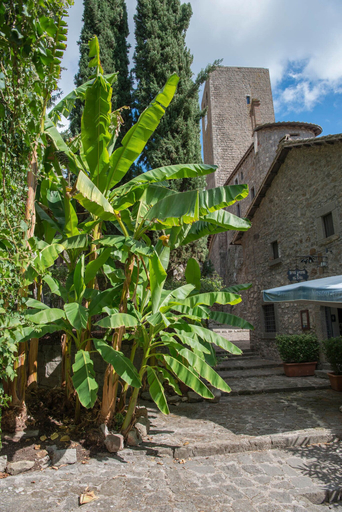 Exterior & Views 2, borgo antico resort diffuso, Viterbo