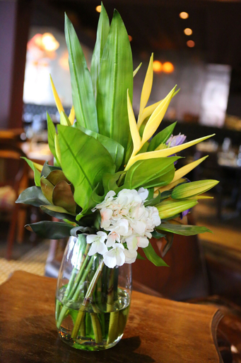 Food & Drinks 5, The Tunbridge Wells Hotel, Kent