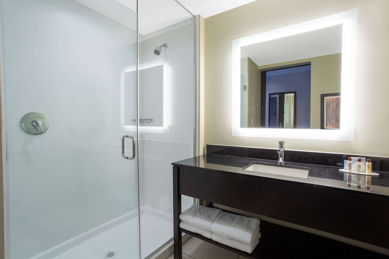 Bathroom 4, Wingate by Wyndham Page Lake Powell, Coconino