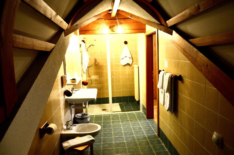 Bathroom 4, Hotel Dal Bon, Trento