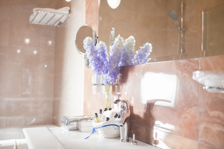 Bathroom 5, Grand Hotel VIDGOF, Chelyabinsk gorsovet