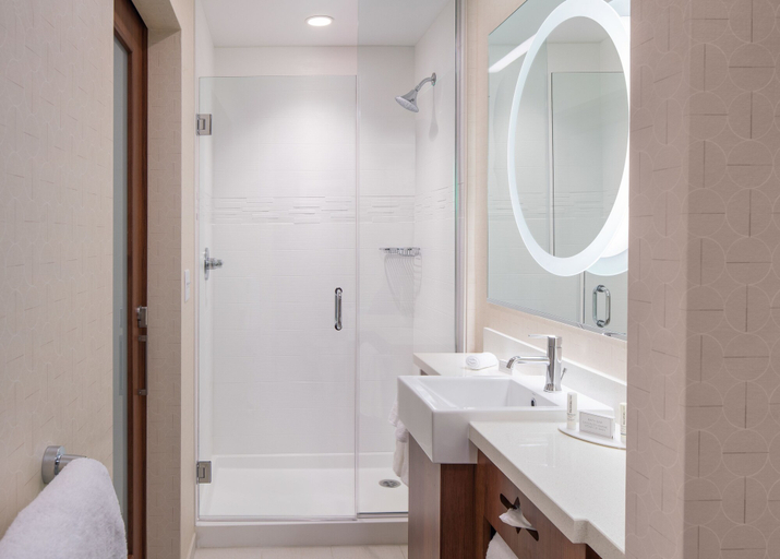 Bathroom 5, SpringHill Suites Los Angeles Burbank/Downtown, Los Angeles
