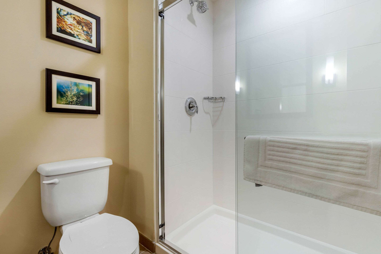 Bathroom 4, Comfort Inn & Suites Florence Center Area, Florence