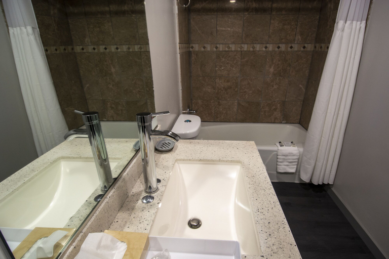 Bathroom 4, Americana Modern Hotel, Shasta