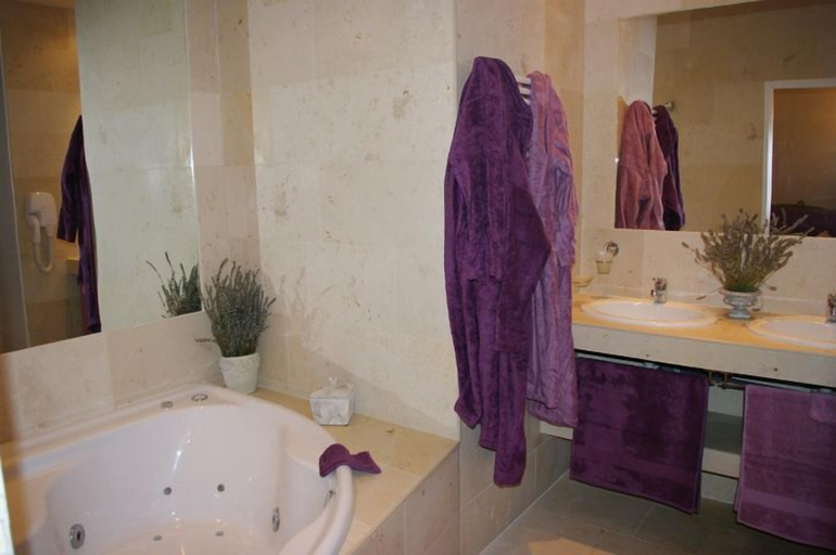 Bathroom 5, Château de Pommeuse, Seine-et-Marne