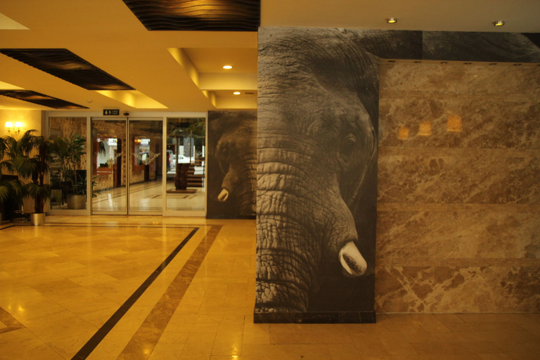 Exterior & Views 2, Arya Hotel Business Deluxe, Merkez