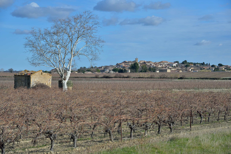 Exterior & Views 2, Les Amandiers, Hérault