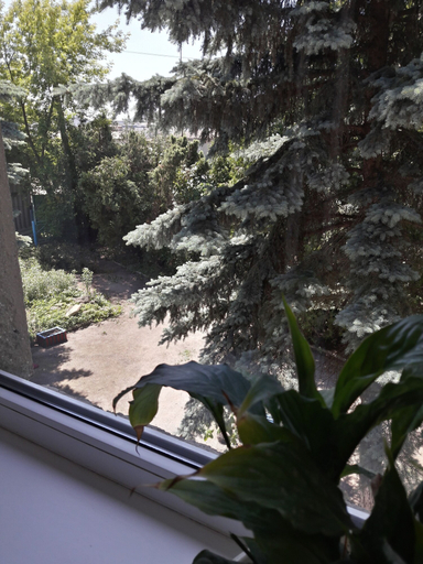 Others 5, Office - Hostel, Ivano-Frankivs'ka