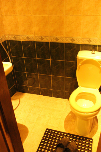 Bathroom 5, Arab Tower Hotel, Amman