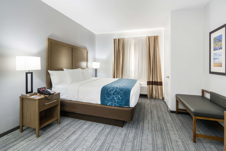Bedroom 4, Comfort Suites DeSoto Dallas South, Dallas