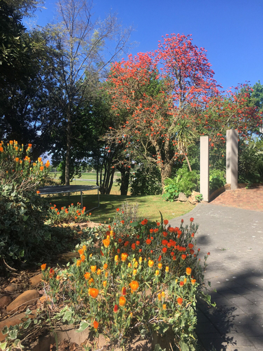 Others 5, Paarl Nuwerus Lodge, Cape Winelands