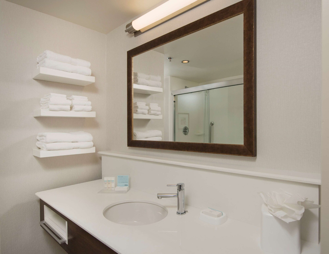Bathroom 5, Hampton Inn & Suites Braselton, Barrow