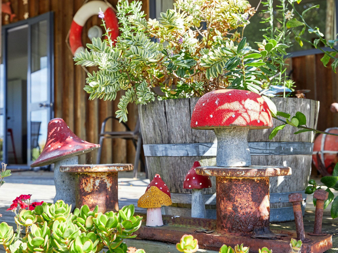 Food & Drinks, Barnacle Bills, Kaikoura