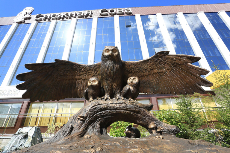 Exterior & Views 2, Snowy Owl Hotel, Krasnoyarsk