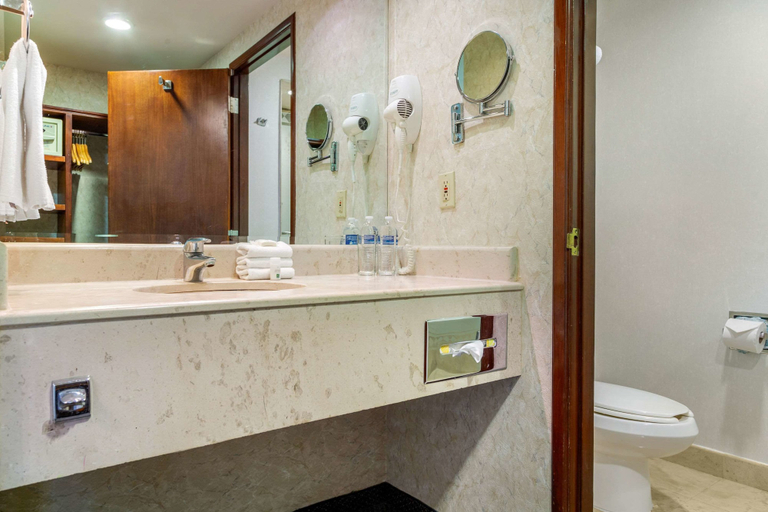 Bathroom 4, Quality Inn Monterrey La Fe, Guadalupe