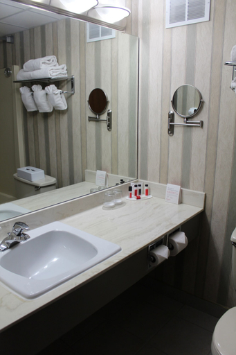 Bathroom 4, Ramada Plaza by Wyndham Regina Downtown, Division No. 6