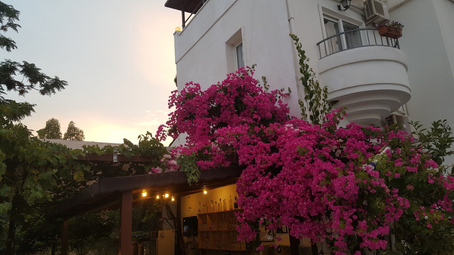 Exterior & Views 2, Bitez Otel, Bodrum