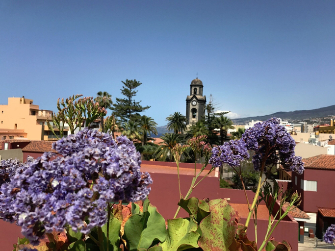 Exterior & Views 2, 4Dreams Hotel, Santa Cruz de Tenerife