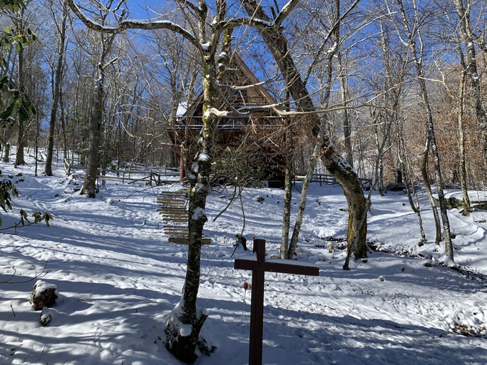 Others 5, Unforgettable Dreams, Watauga