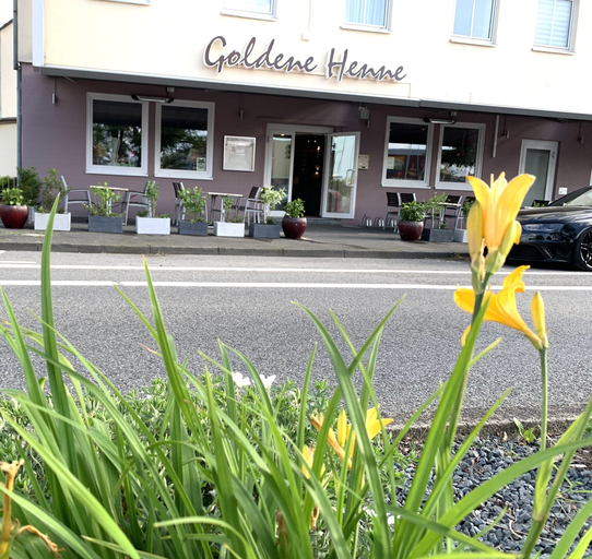 Exterior & Views 2, Boutique Hotel Goldene Henne, Wolfsburg