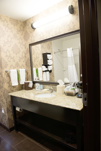 Bathroom 4, Hampton Inn & Suites Hope, Hempstead