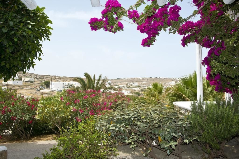 Others 5, Tatiana Villa & Apartments, South Aegean