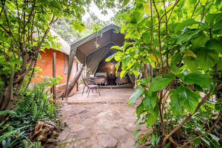 Exterior & Views 2, Victoria Falls Backpackers, Hwange