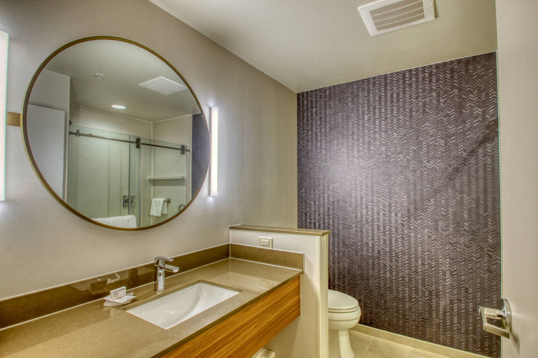 Bathroom 4, Fairfield Inn & Suites by Marriott Appleton, Outagamie
