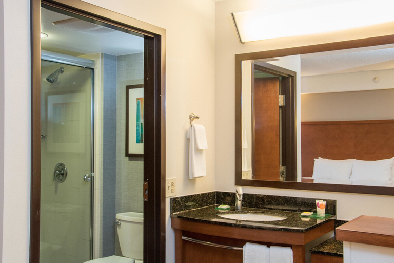 Bathroom 4, Hyatt Place Minneapolis/Eden Prairie, Hennepin