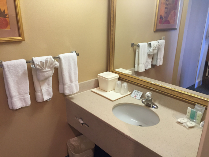 Bathroom 5, Comfort Suites Oakbrook Terrace - Chicago West, Dupage
