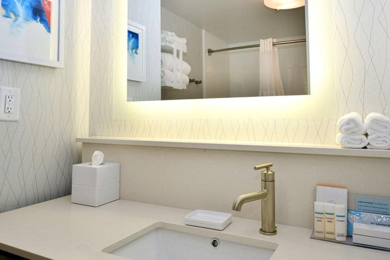 Bathroom 4, Hampton Inn Santee-I-95, Orangeburg