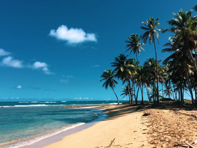 Others 2, "srvittinivillas Lmvll7/big Espacius View, Event Priv/ Villa Resort", La Romana