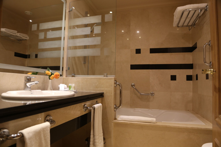 Bathroom 5, Gran Hotel Los Abetos, A Coruña