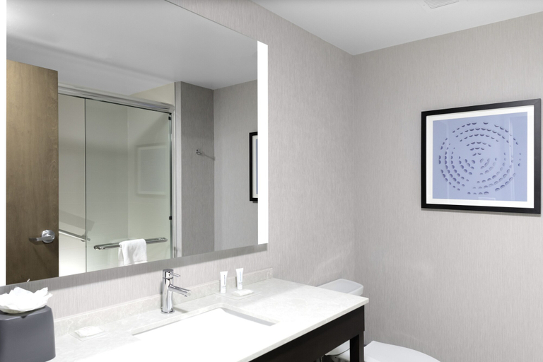 Bathroom 4, Hyatt Place Charlotte/University Research Park, Mecklenburg