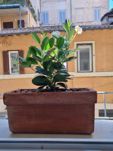 Exterior & Views 2, Corso Suite 107 Rooms Wellness & Spa, Rome