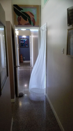 Others 4, Neita's Nest - Jamaican Bed & Breakfast