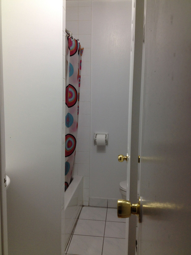 Bathroom 5, Chinatown Travellers Home, Toronto